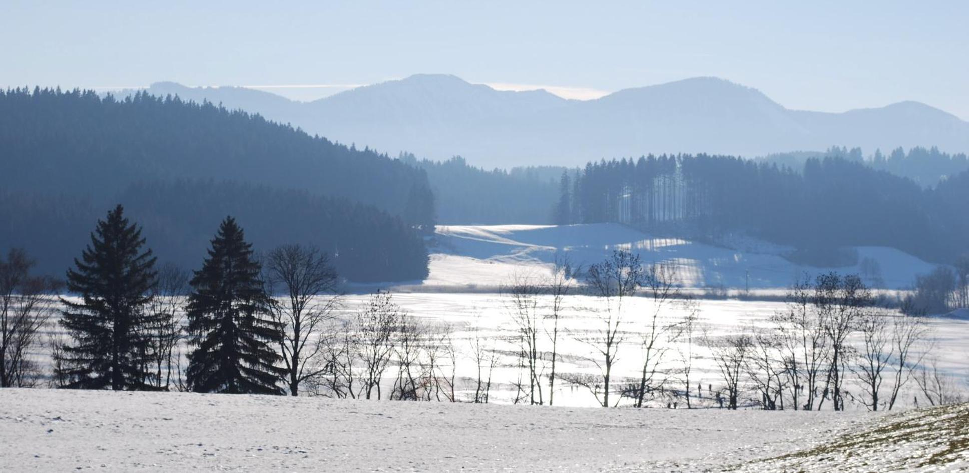 Landsitz Rocky Docky Villa Niedersonthofen Dış mekan fotoğraf