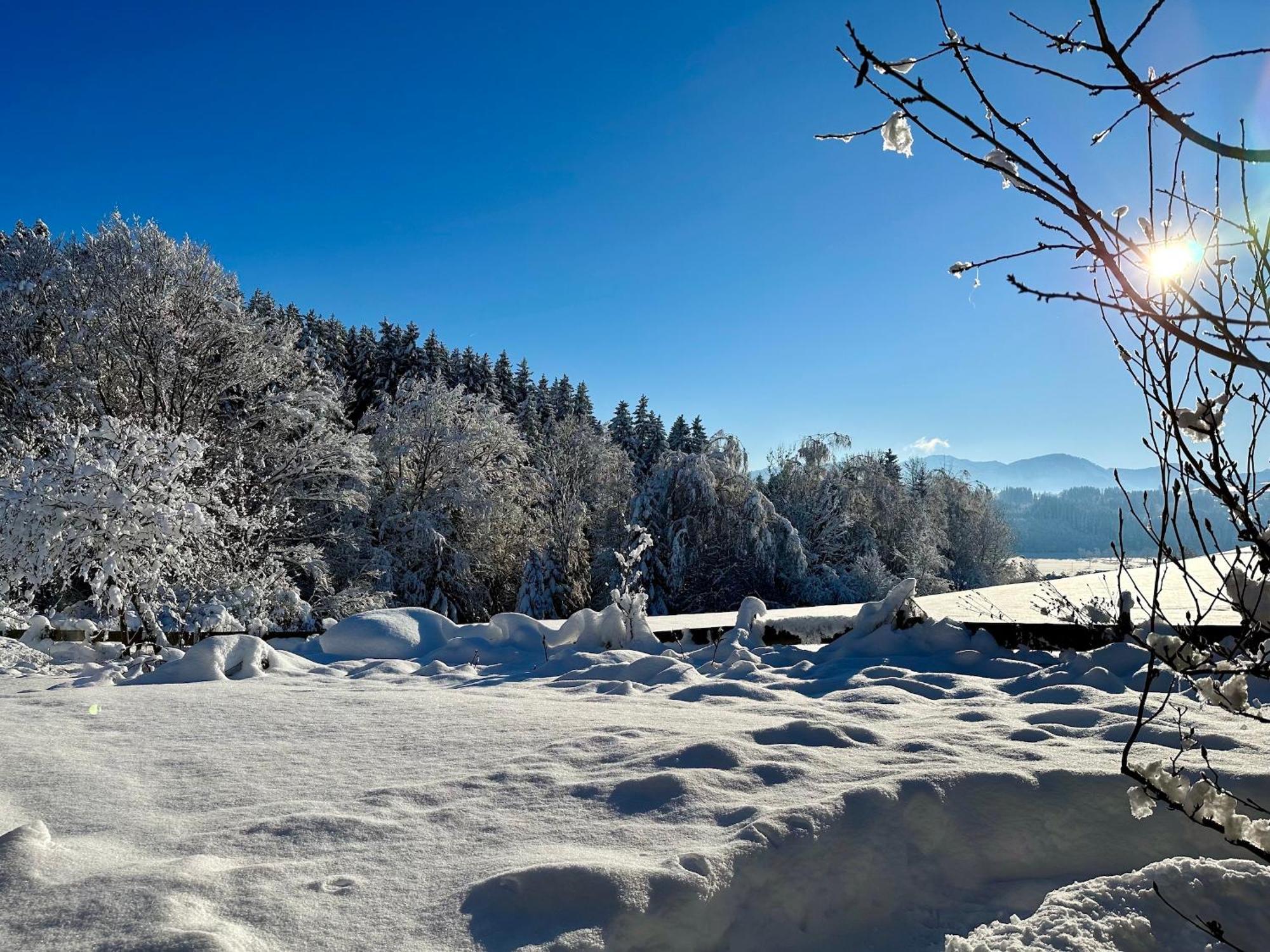 Landsitz Rocky Docky Villa Niedersonthofen Dış mekan fotoğraf