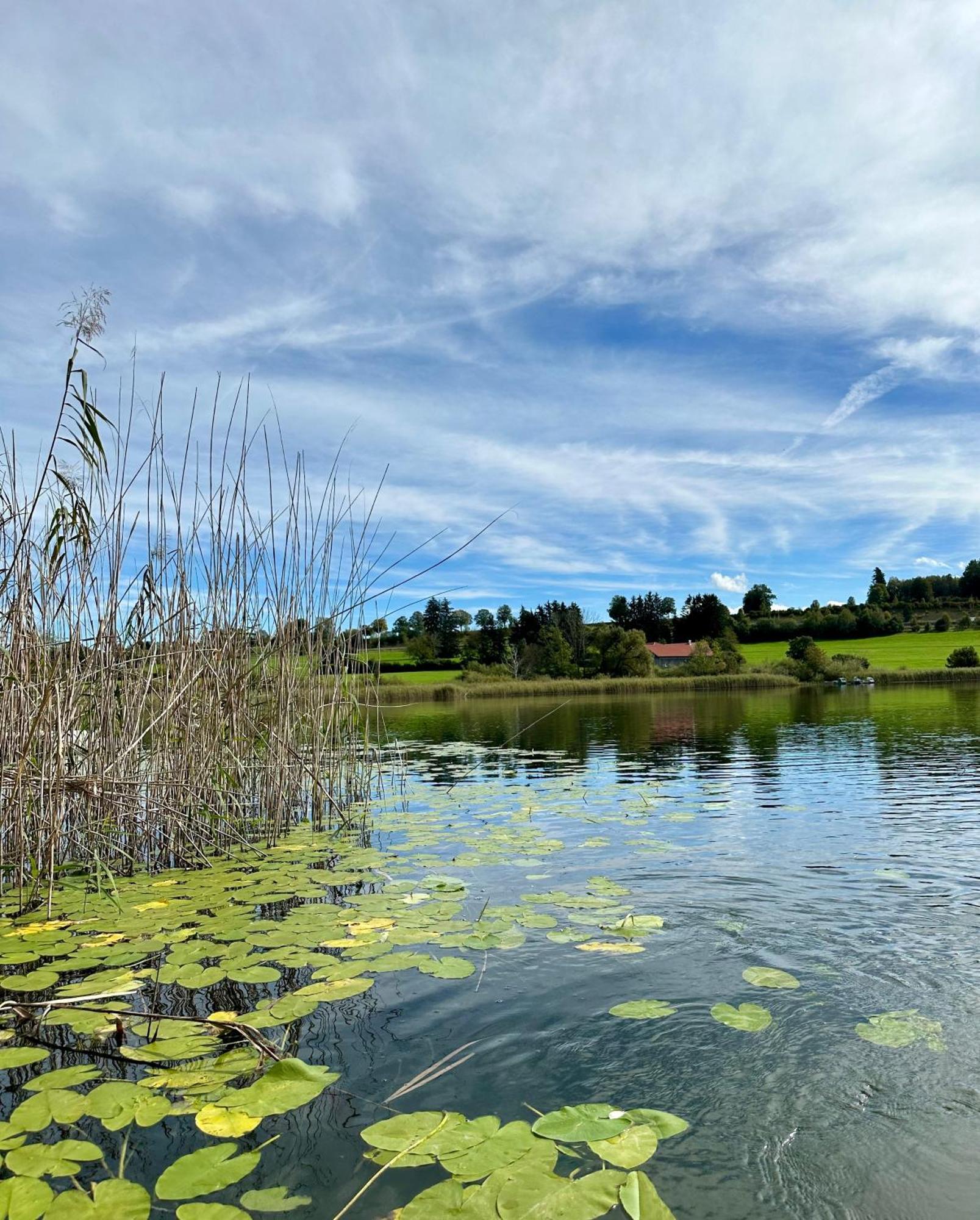 Landsitz Rocky Docky Villa Niedersonthofen Dış mekan fotoğraf